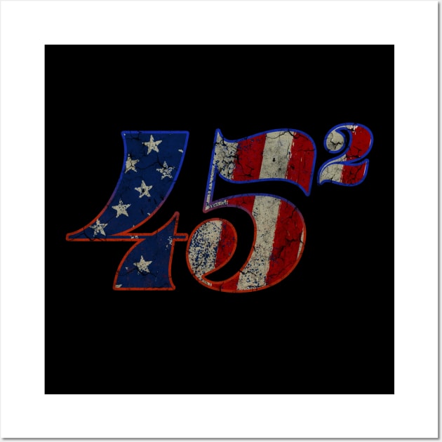 45 Squared Trump 2020 Second Term USA Vintage Wall Art by Rebrand